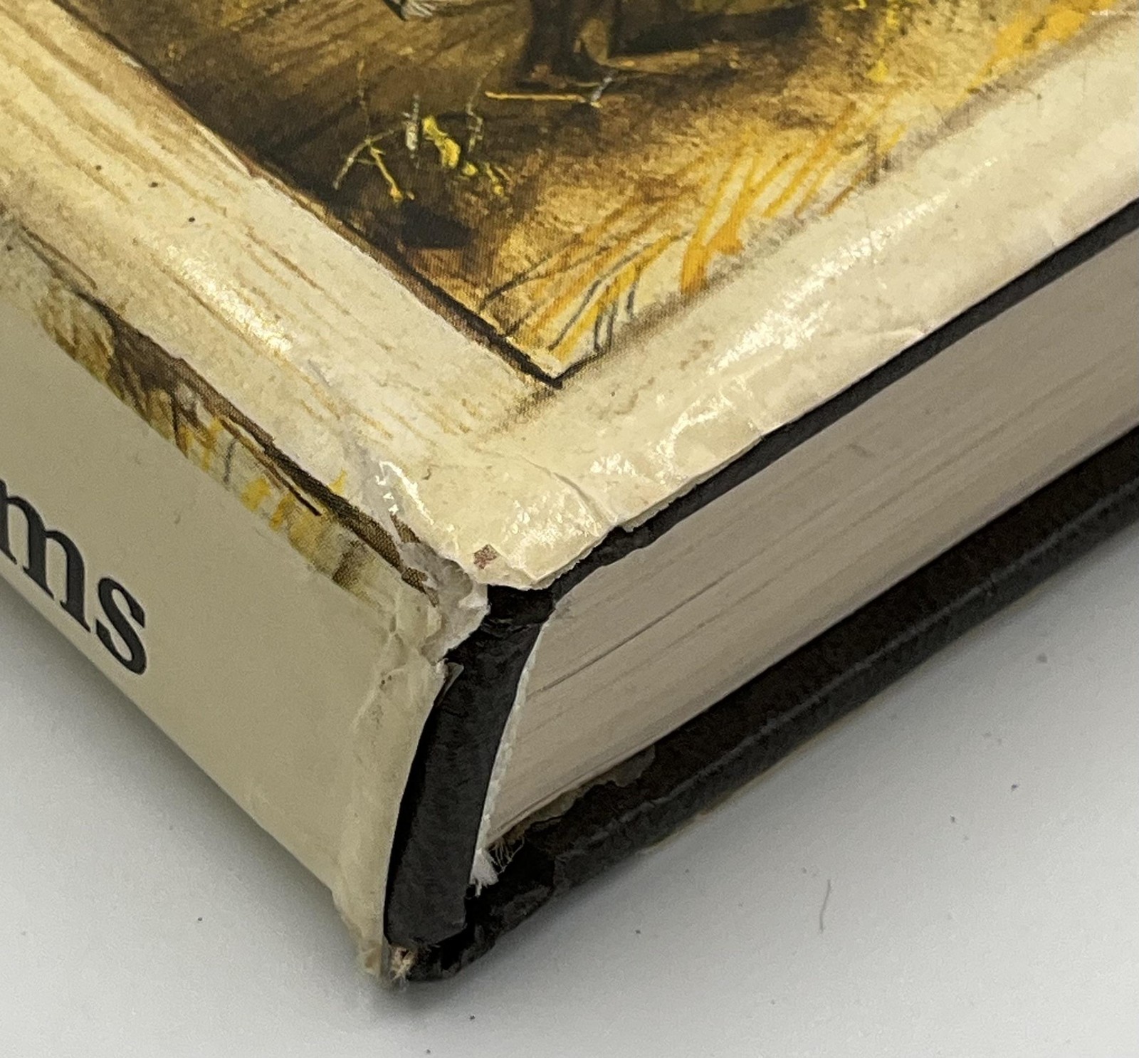 Vintage Noah&rsquo;s Ark Rien Poortvliet HC Beige Illustrated 1986 Abrams Netherlands