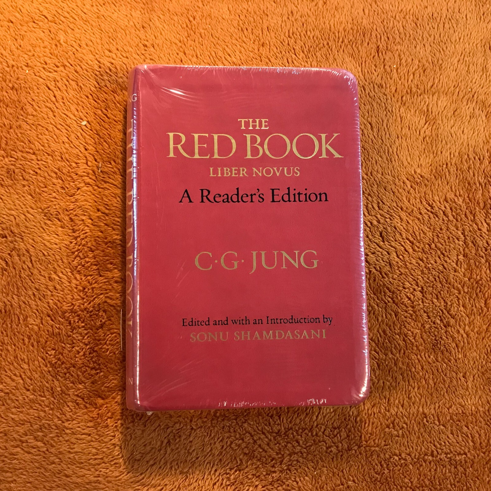 C.G. Carl Jung THE RED BOOK liber novus philemon &rsquo;12 english a reader&rsquo;s edition!