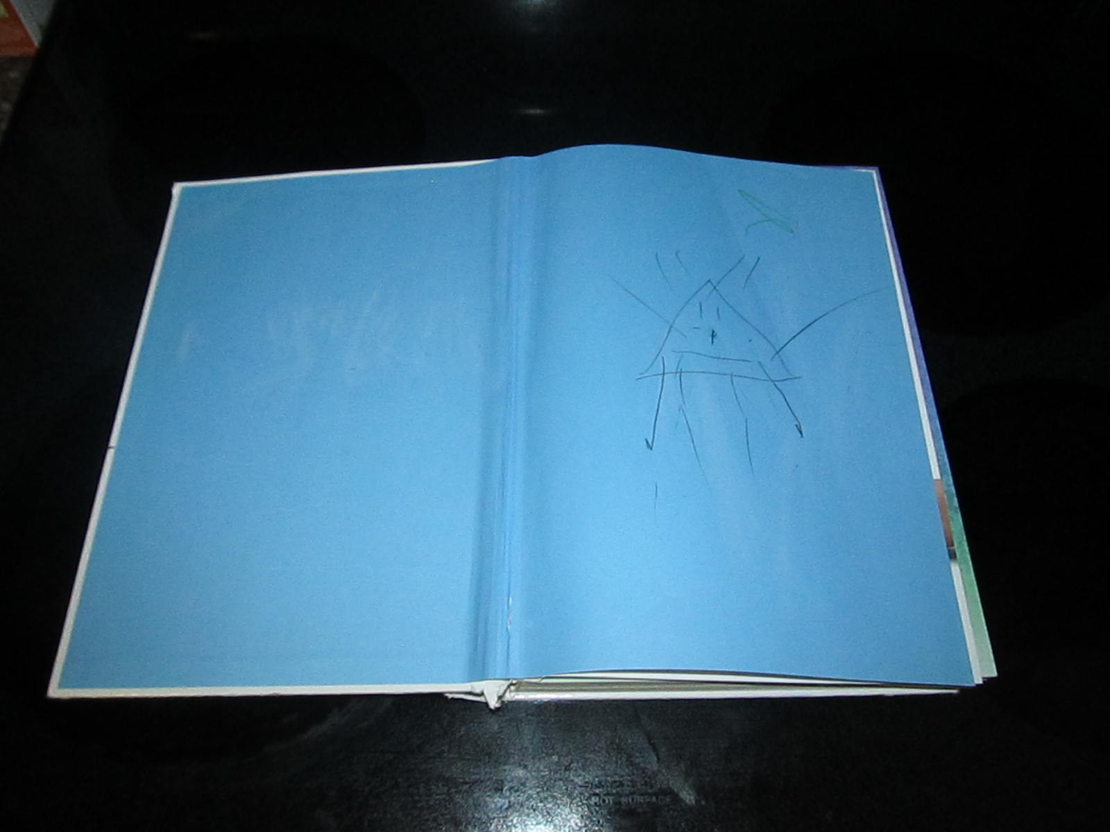 Terry Longhurst « I Can Draw.. » Youth Young Adult Book Art Artwork Animals People
