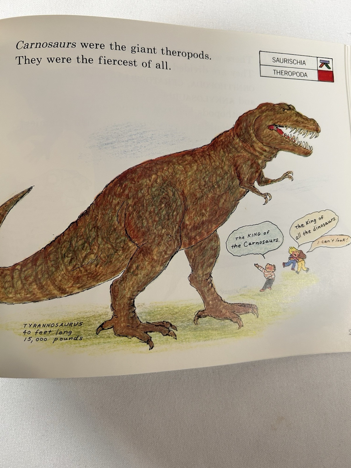 Dinosaurs Are Different Book and Tape (Let&rsquo;s-Read-and-Find-Out Book). 1985