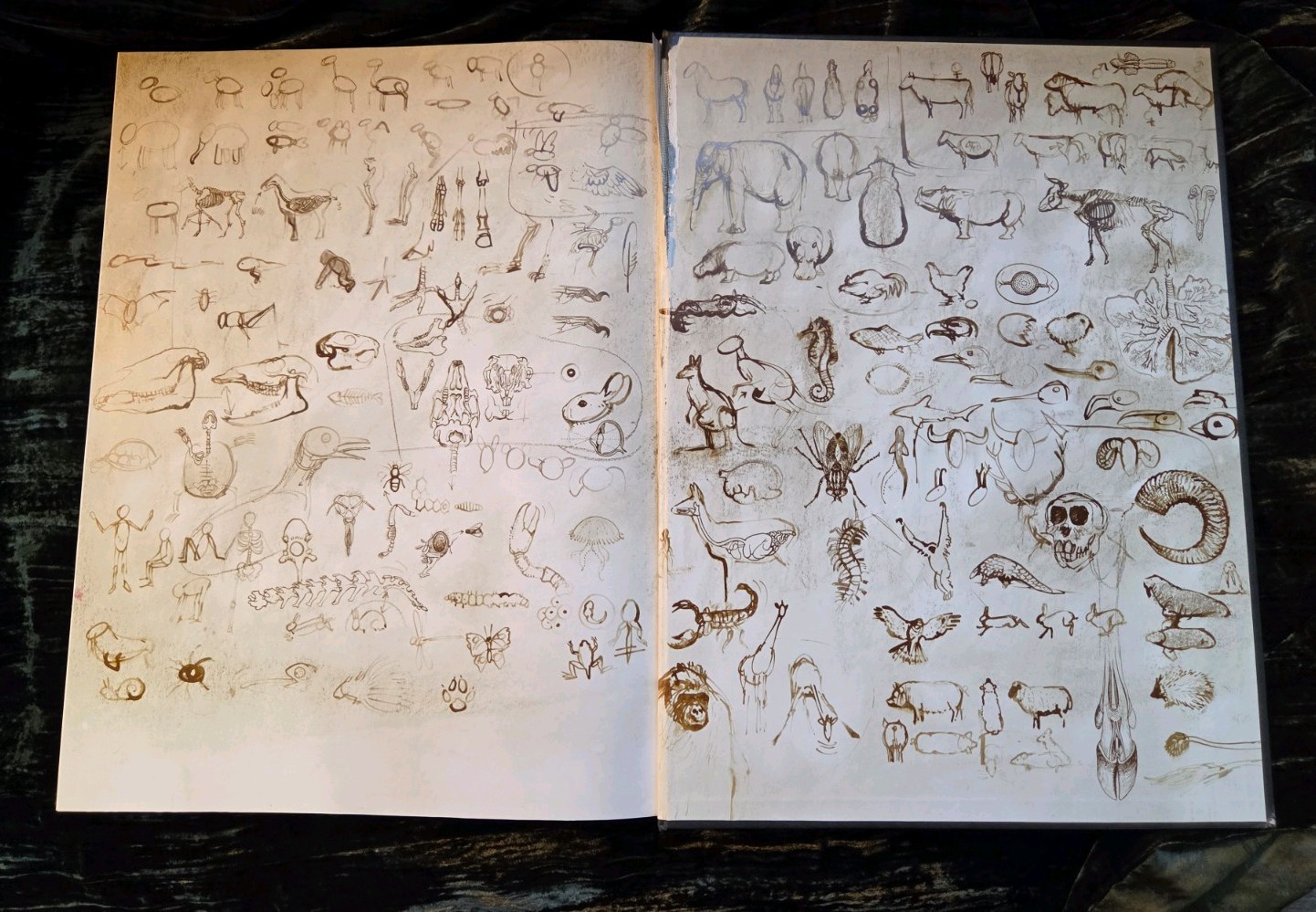 NOAH&rsquo;S ARK Animal Art by Rien Poortvliet 1986