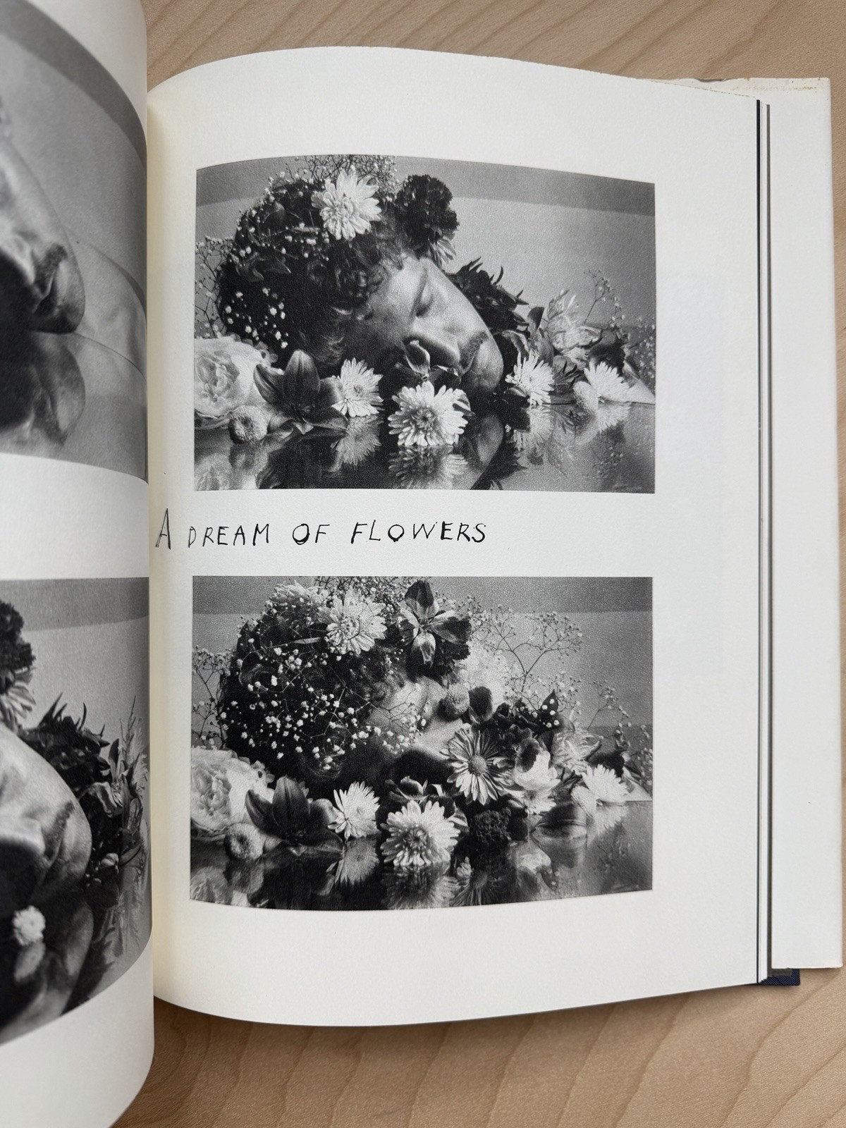The Nature of Desire Duane Michals 1986 Twelvetrees Press