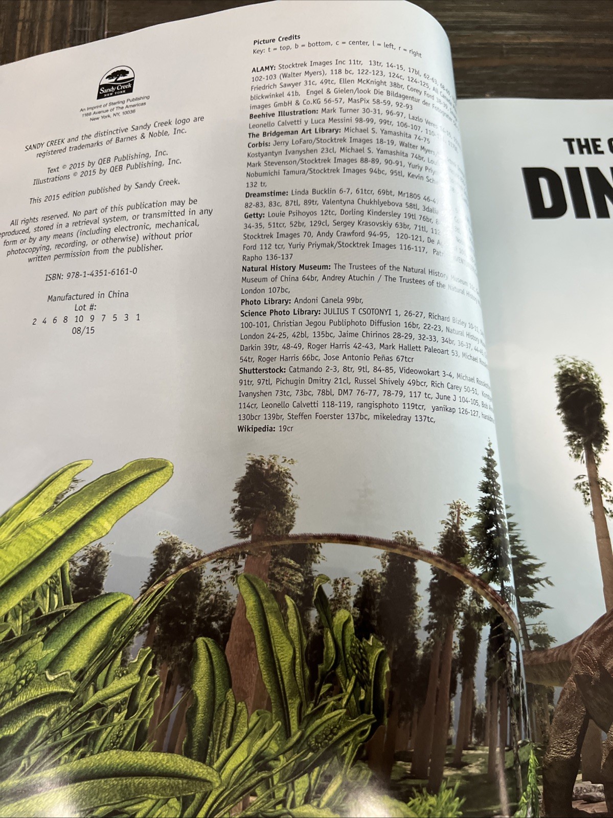 The Complete Guide To Dinosaurs Hardcover Book By Dougal Dixon Facts Beautiful