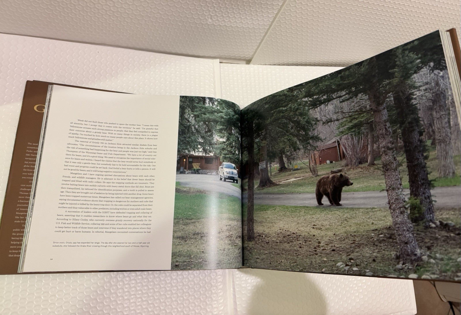 Grizzly 399: World&rsquo;s Most Famous Mother Bear, The by Thomas D. Mangelsen HC .