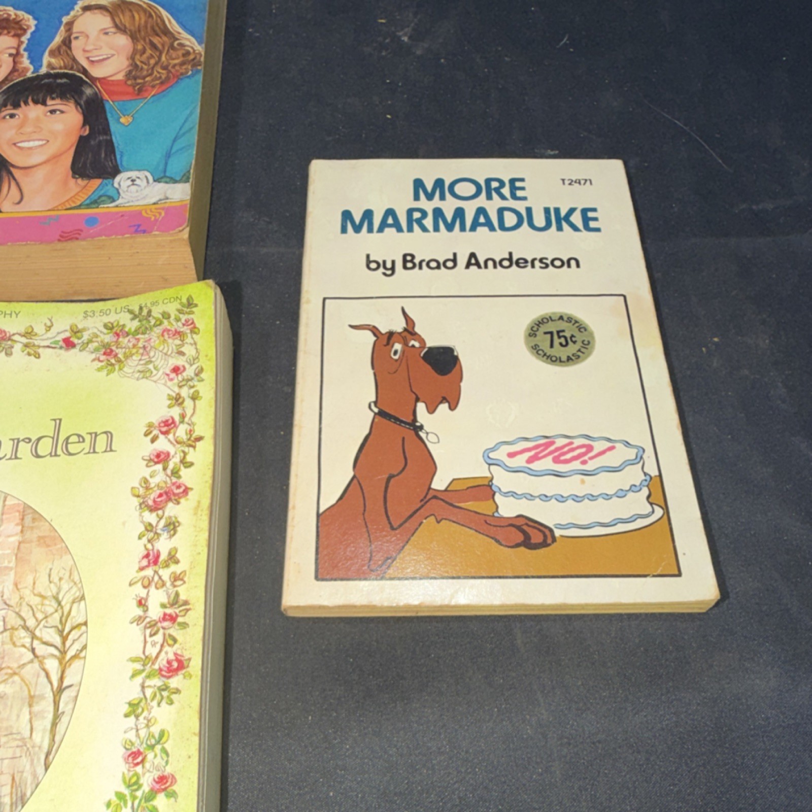Vintage Children&rsquo;s Fiction Paperback Lot – Lenski, Blume, White, Burnett, 5 Boo…