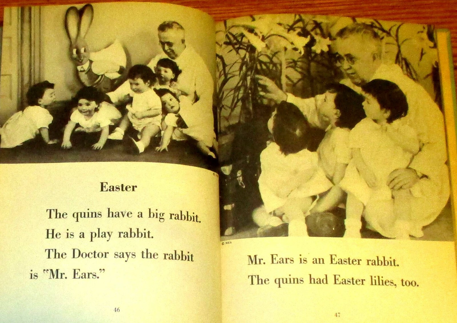 The Quins&rsquo; Book SIGNED by Jean Ayer 1937 114 Pages H/C Photograph Book RARE!!