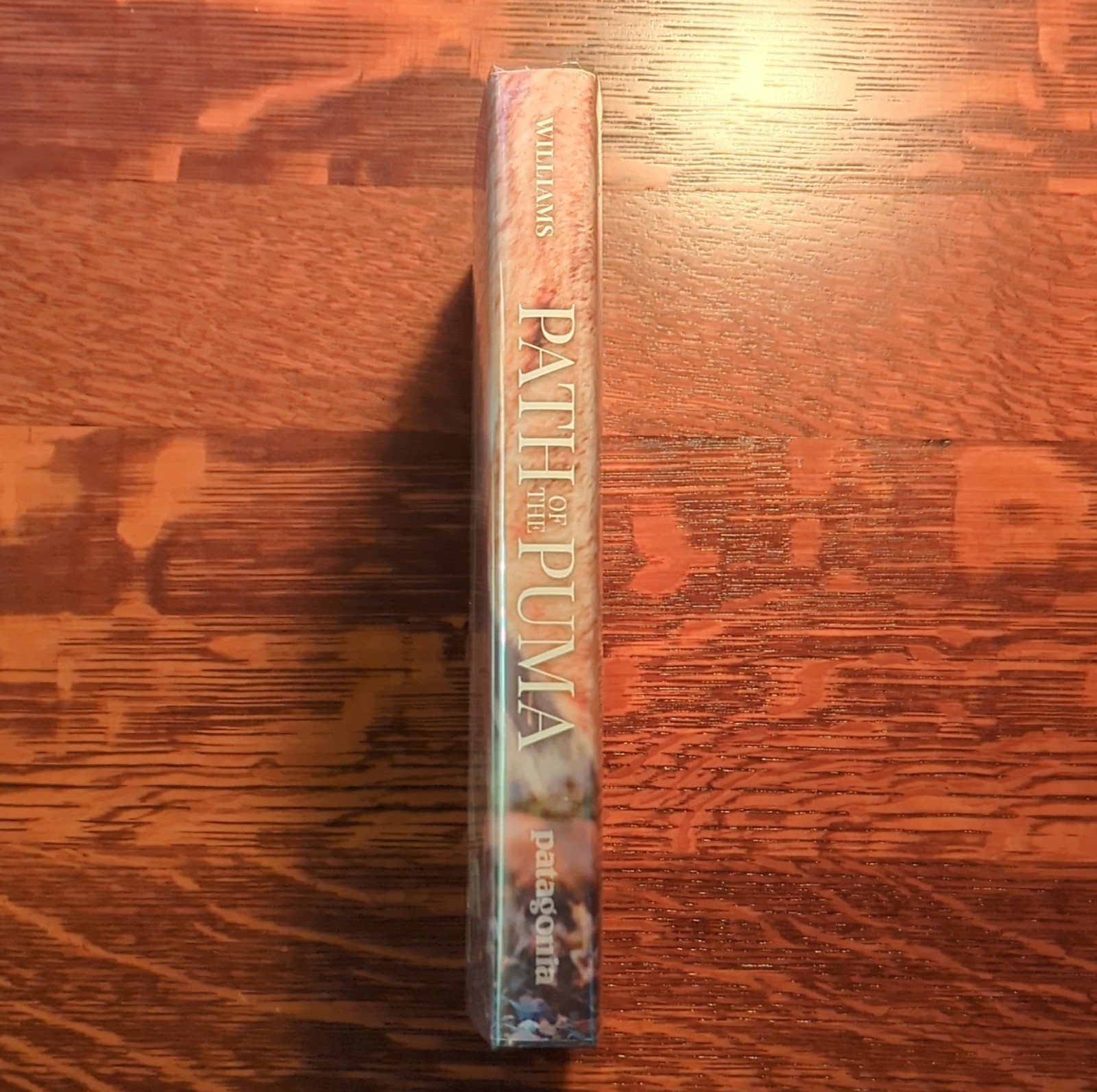 Patagonia Path of the Puma: Mountain Lion Resilience by Jim Williams, Hardcover