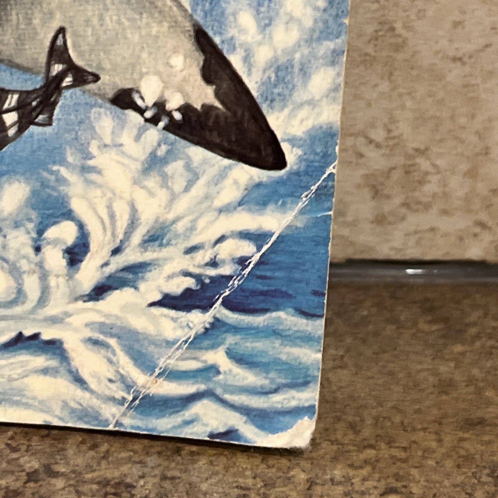 Hungry Hungry Sharks by Joanna Cole 1986 a step 2 reading book Original Print