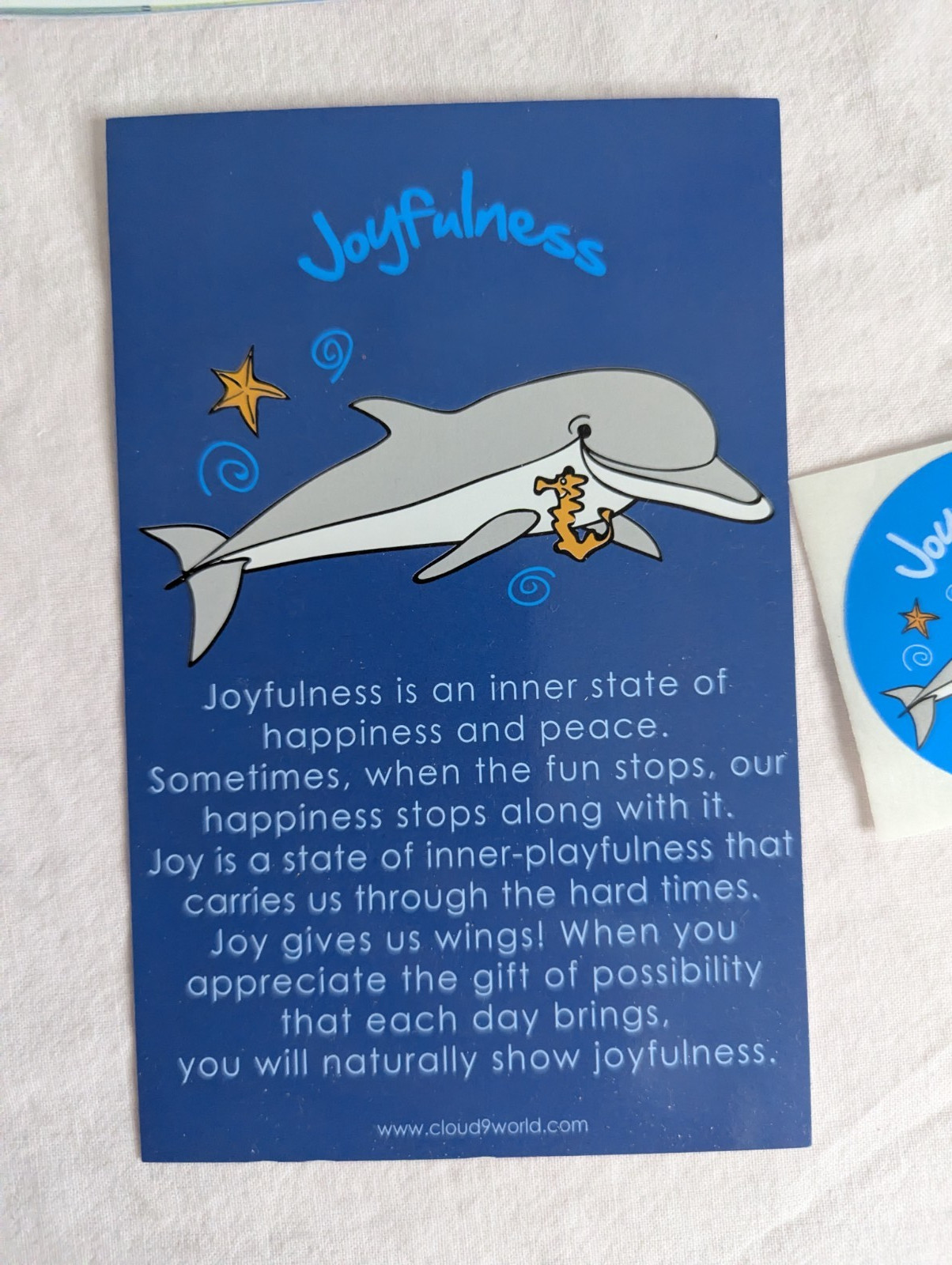 Home School Teachers Cloud 9 world character book JOYFULNESS Kindergarten – 1st