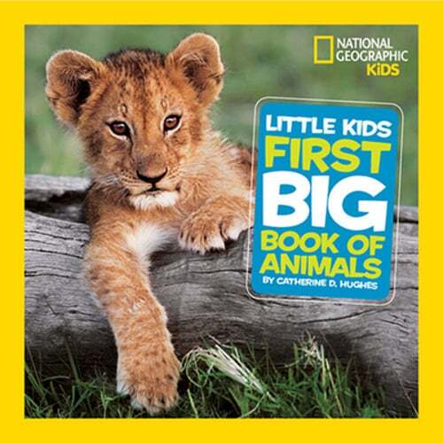 Little Kids First Big Book of Animals by Catherine D Hughes: New