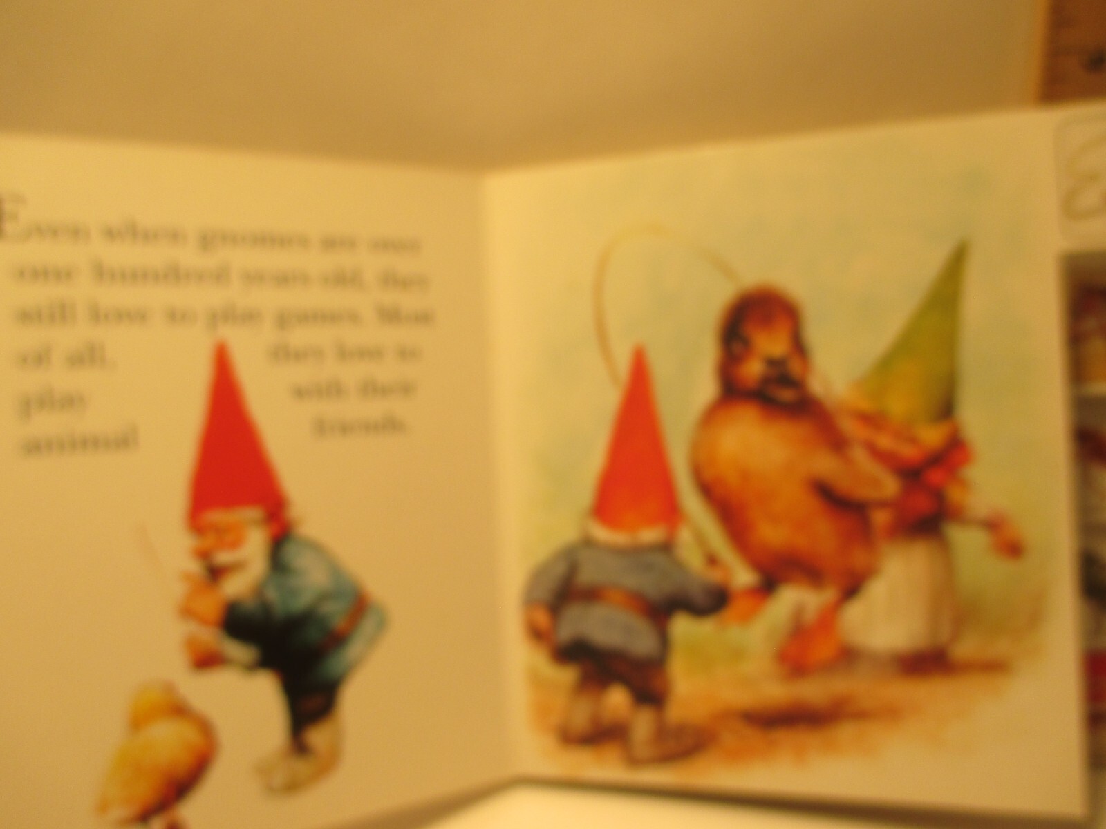 children&rsquo;s board book GNOME PLAYTIME by RIEN POORTVLIET 1997 Kabouter Netherland