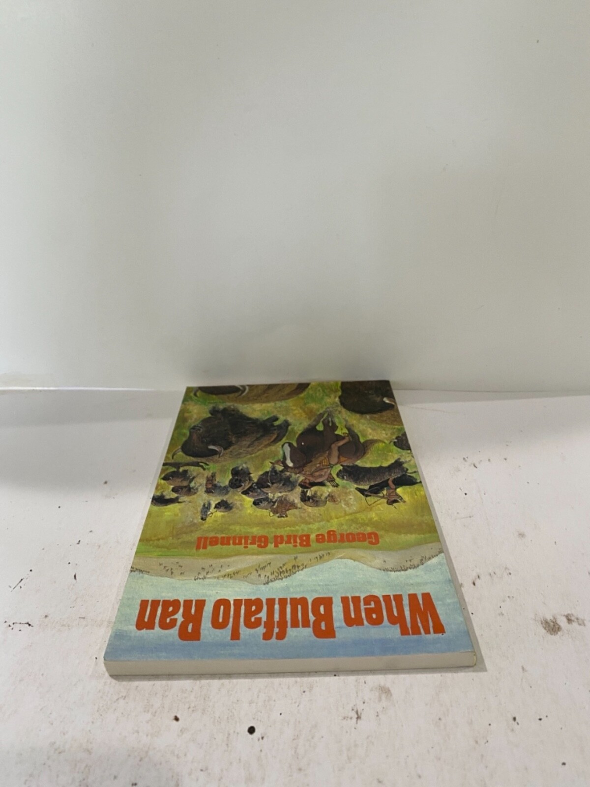 Act Ser.: When Buffalo Ran by Ruth Johnston and George Bird Grinnell (Paperback)