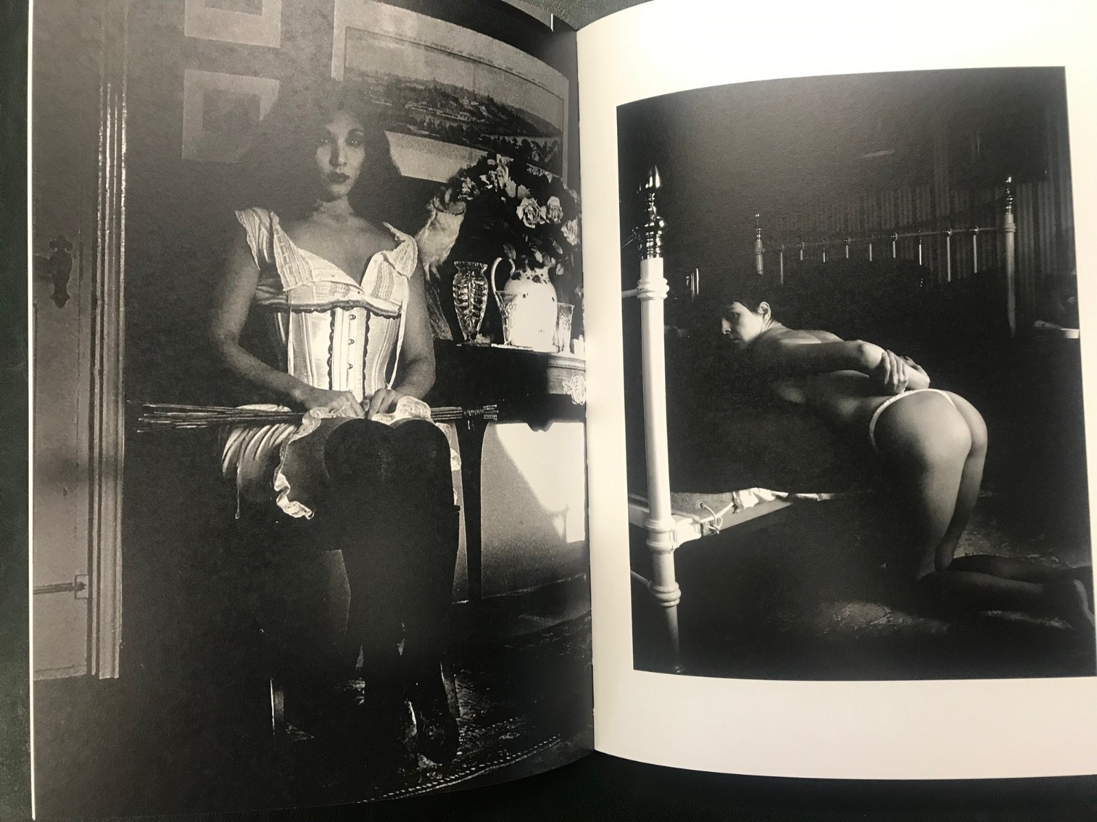 Erotic Domination von China Hamilton, BDSM, Edition Reuss HC 2017, NEU + OVP
