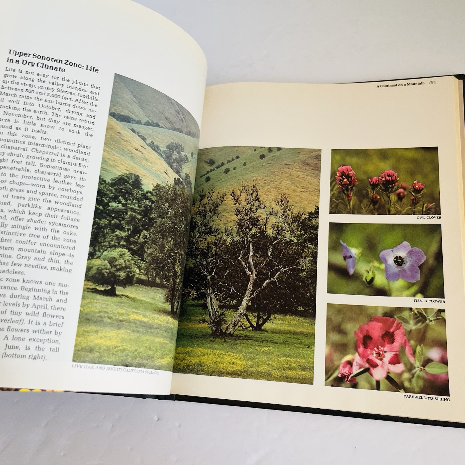 Vintage « The American Wilderness » Time Life Books Collection 1973 Lot of 7