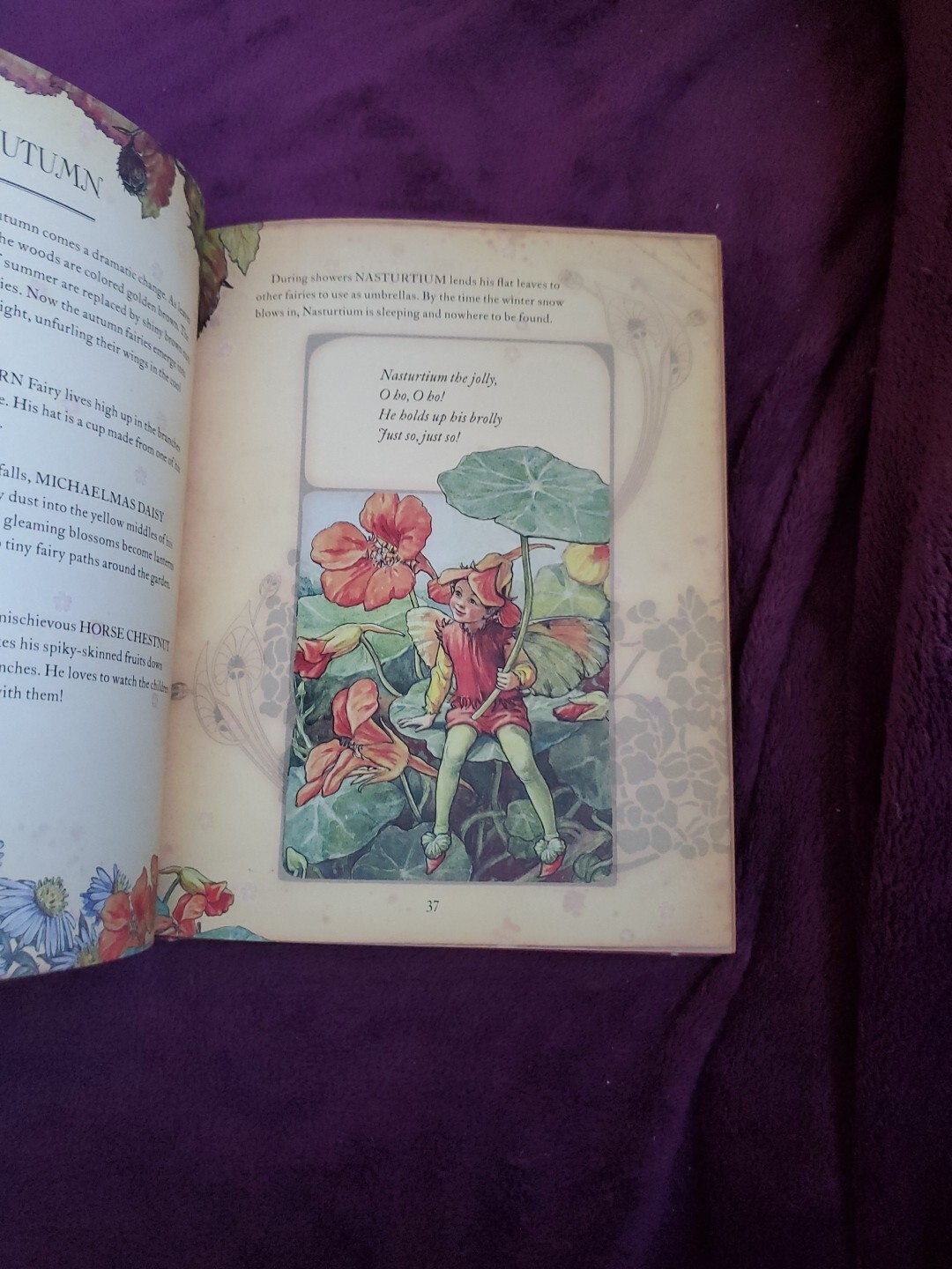 The Girls&rsquo; Book of Flower Fairies (HC, 2008) Frederick Warne (Crafts & Stories)