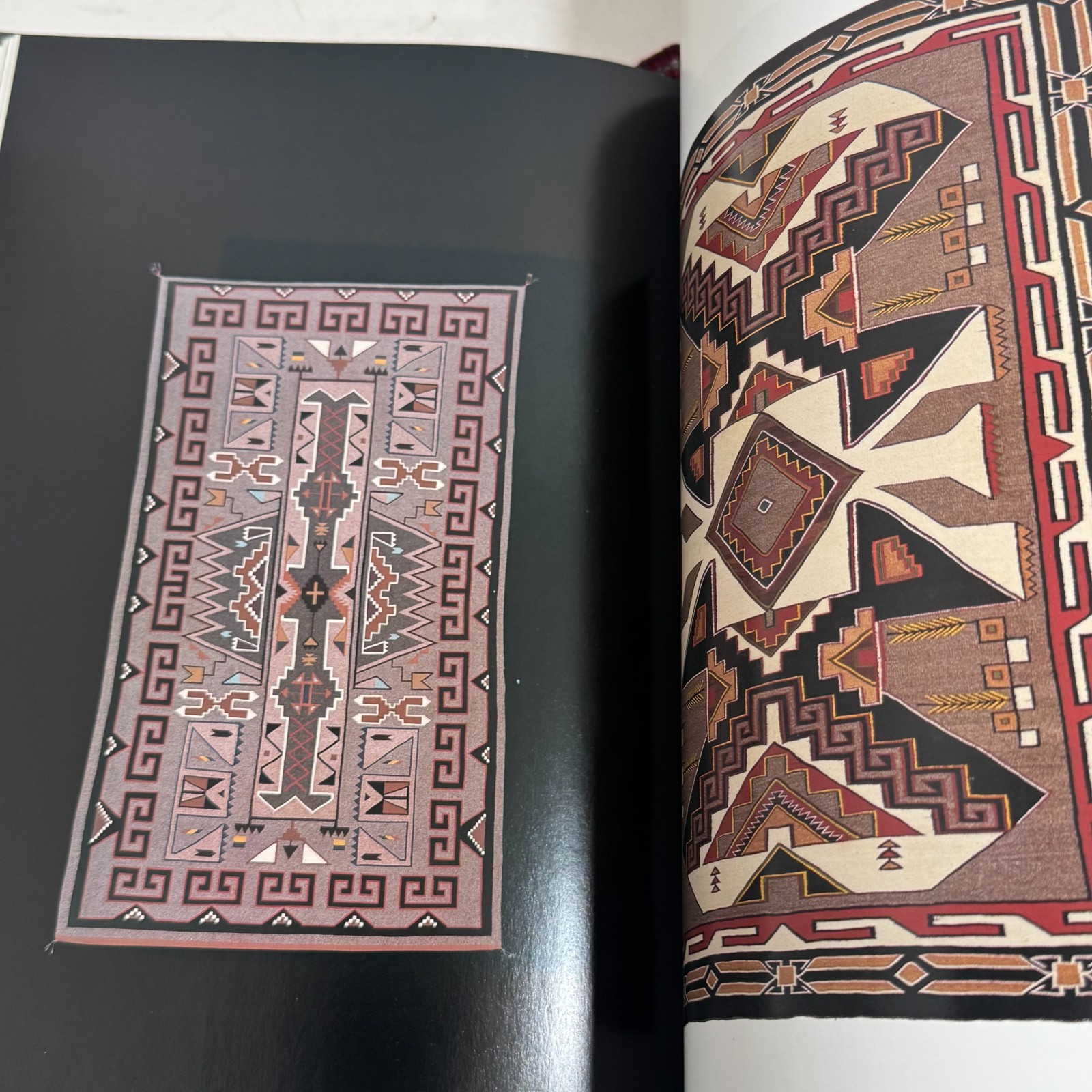 Trees in a Circle The Teec Nos Pos Story signed 1st Ltd Ed #1 Navajo Weaving