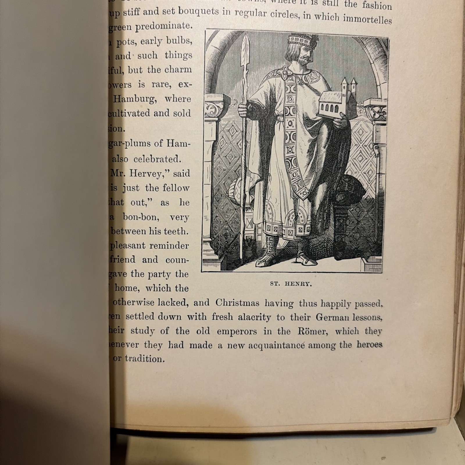 A family flight through France, Germany, Norway and Switzerland 1881 edition!