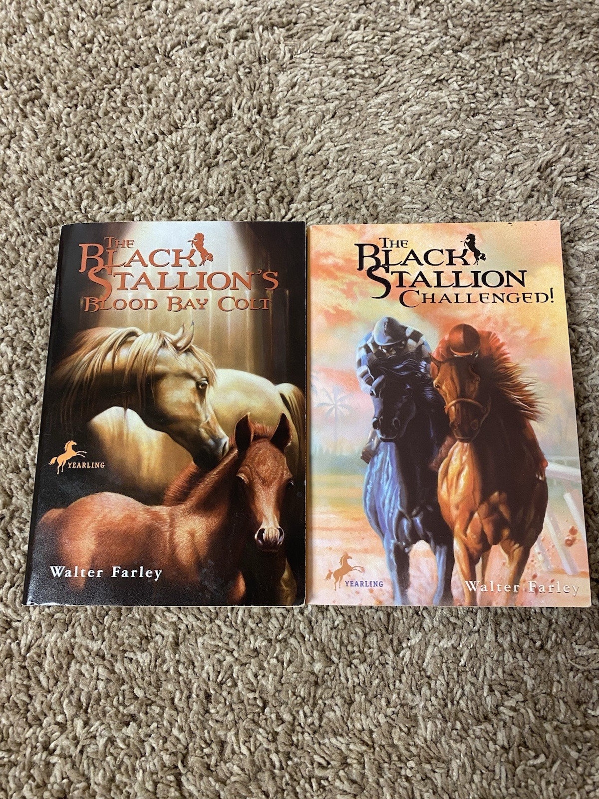 Lot of 12 The Black Stallion Series By Walter Farley Paperback