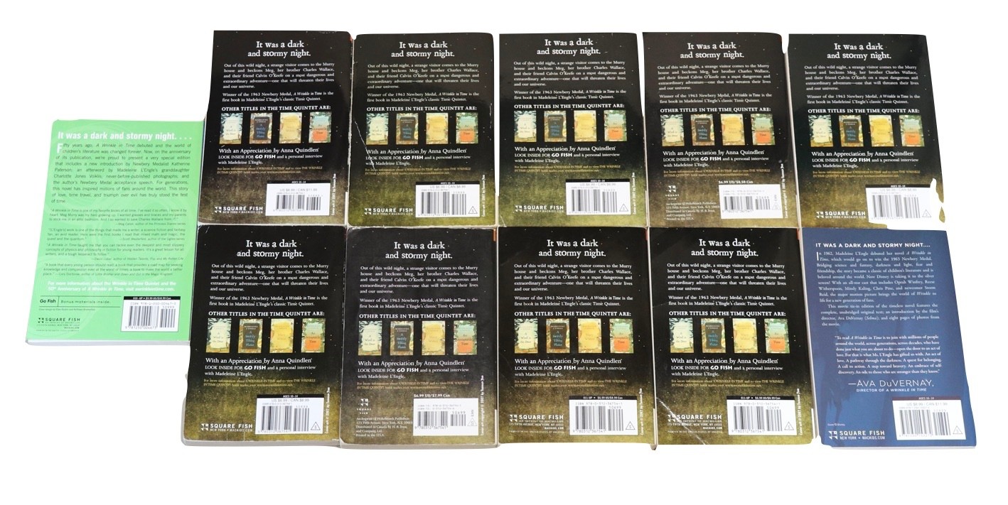 Lot of 11 A Wrinkle In Time by Madeleine L&rsquo;Engle GUIDED READING Teachers Set