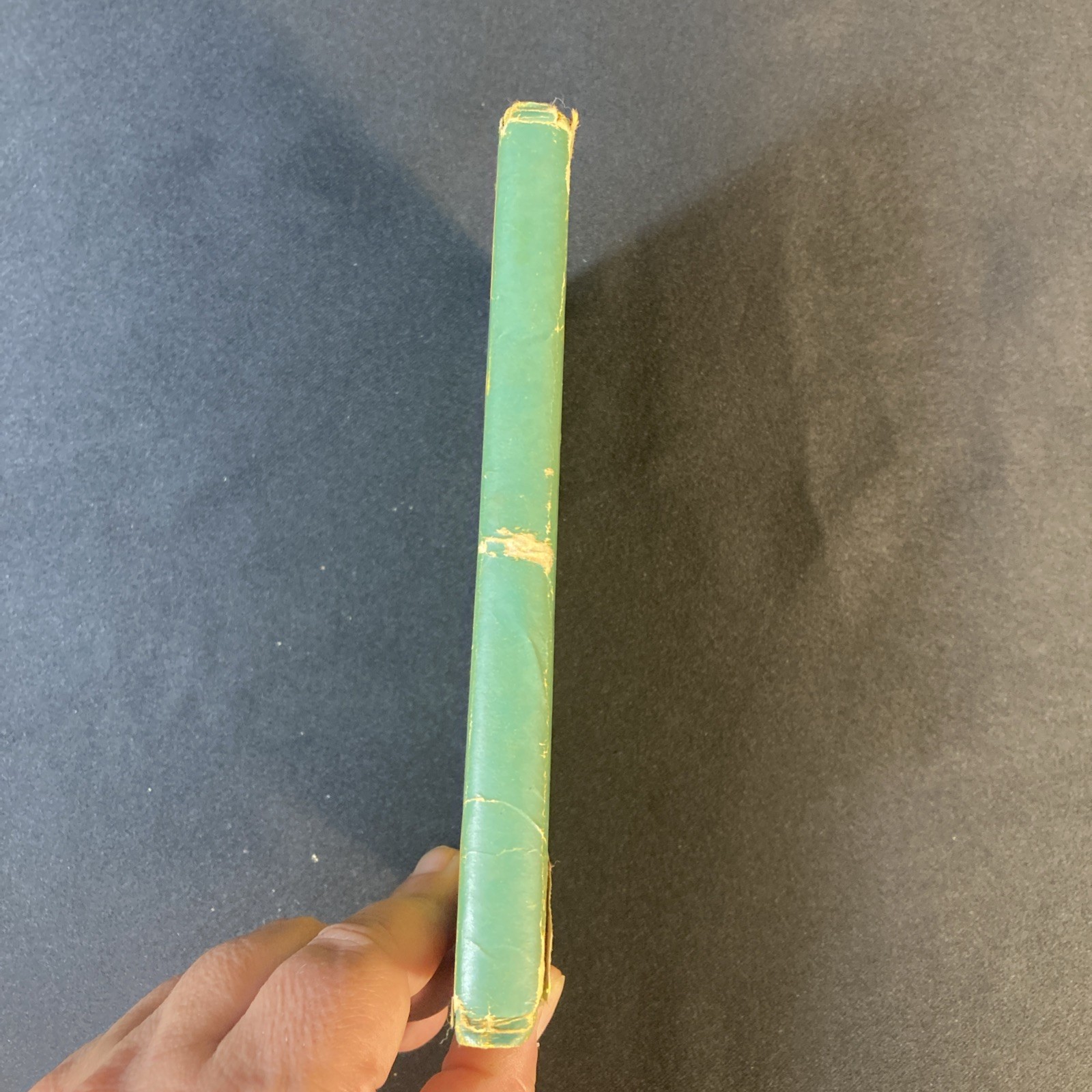 1949 The Fun Biography of Willie the Worm, Lou D Greenlee ~ Fun Nature Series