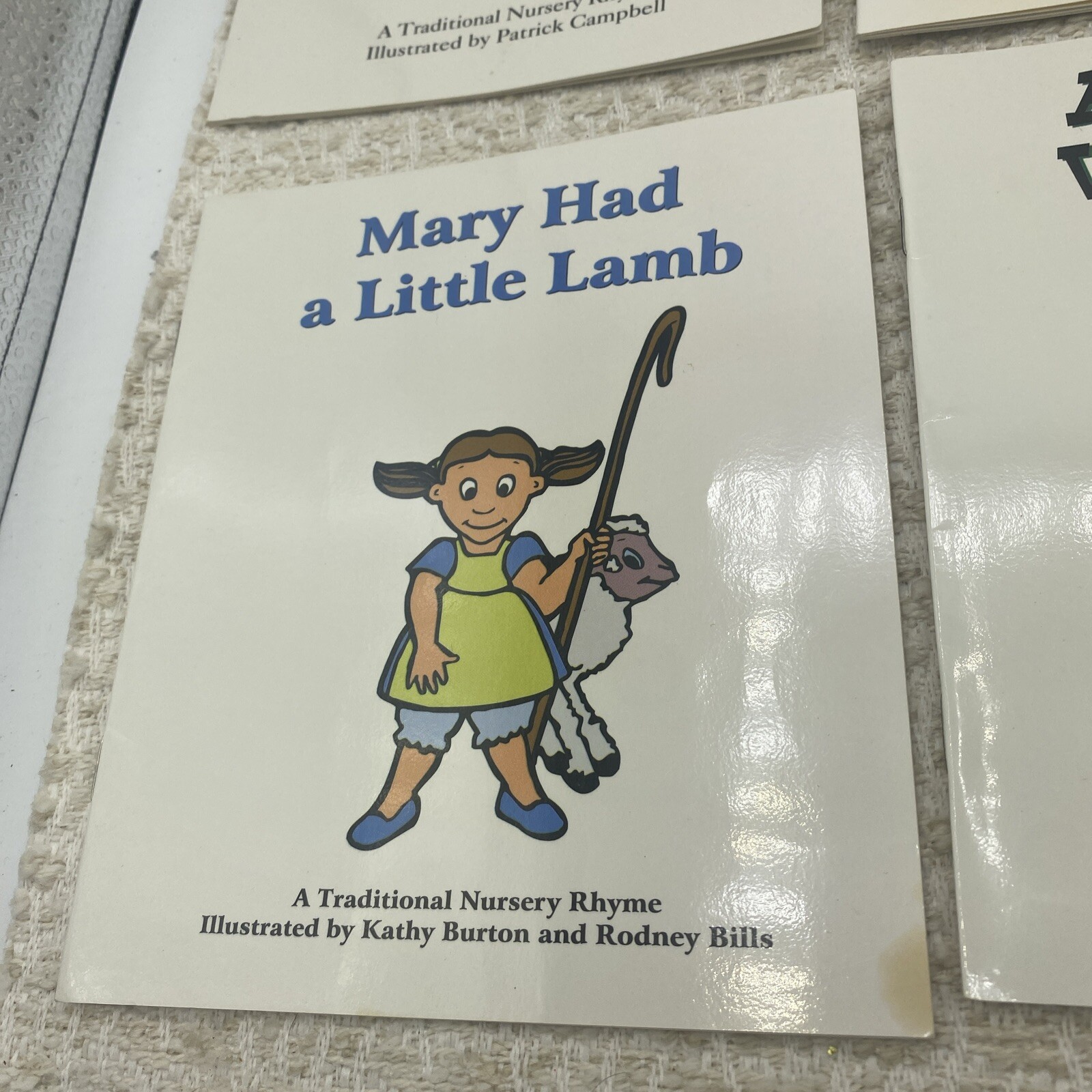 Collection of 6 Diverse Children&rsquo;s Picture Books – Educational and Storytime Fun