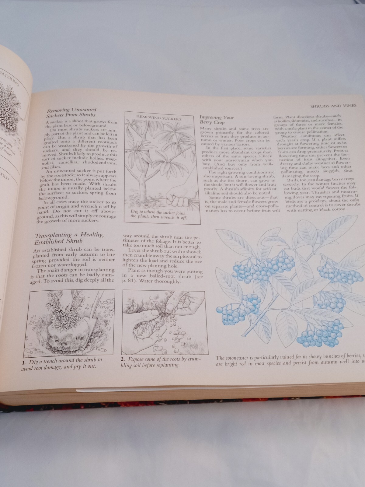 Vintage 1978 Reader&rsquo;s Digest Illustrated Guide to Gardening Hardcover; 672 pages