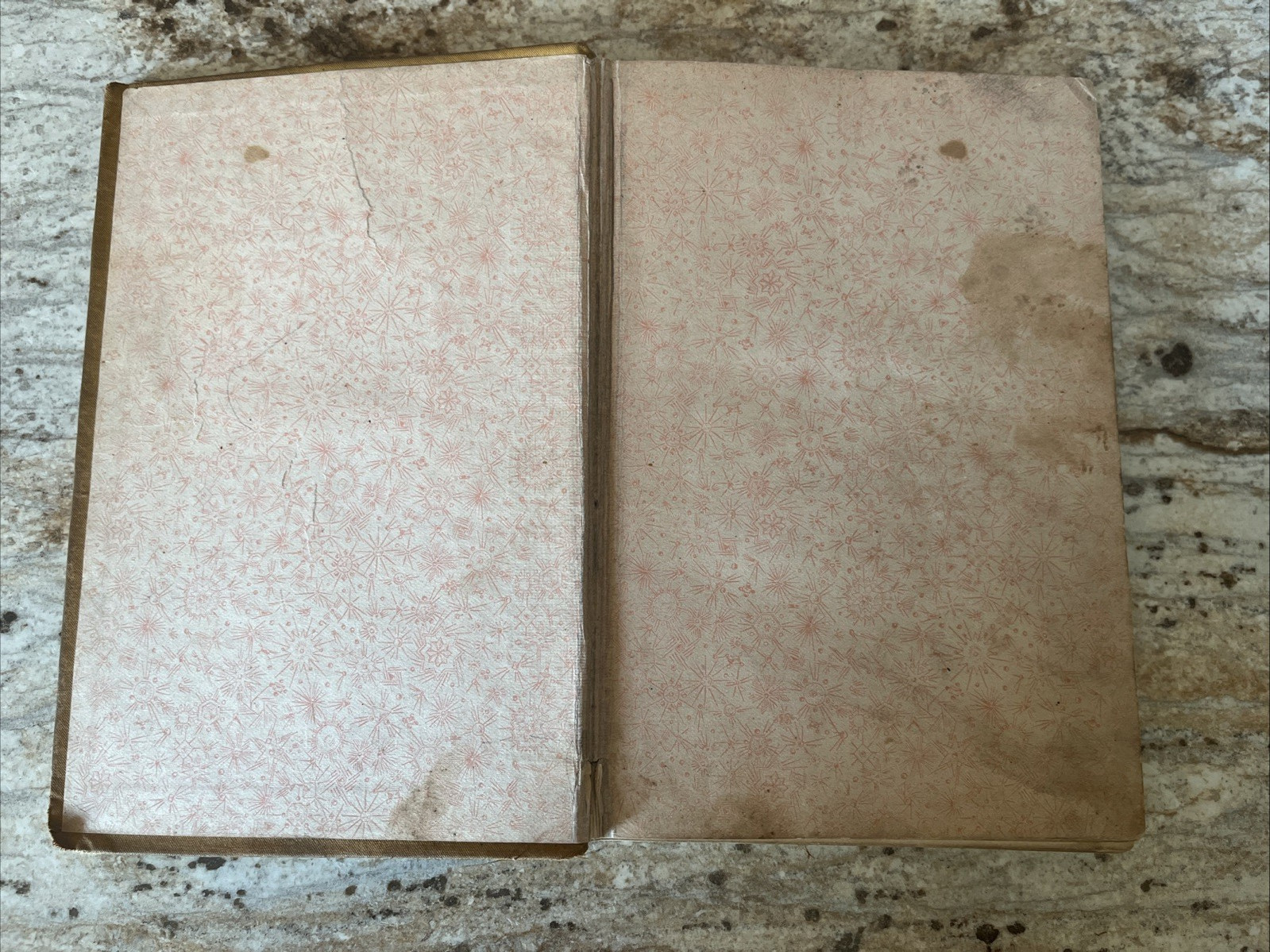 Antique Book Nye & Riley&rsquo;s Railway Guide 1888 – Edgar Nye & James Whitcomb Riley