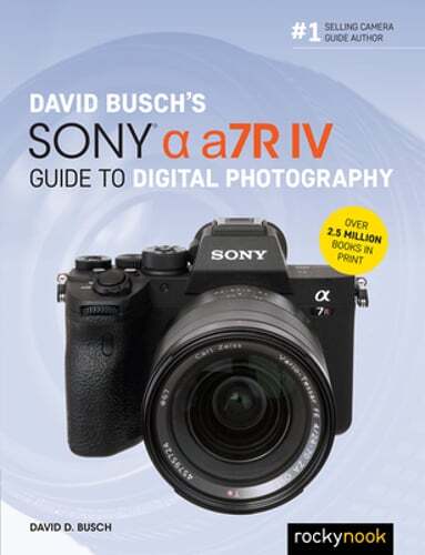 David Busch&rsquo;s Sony Alpha A7r IV Guide to Digital Photography by David D Busch