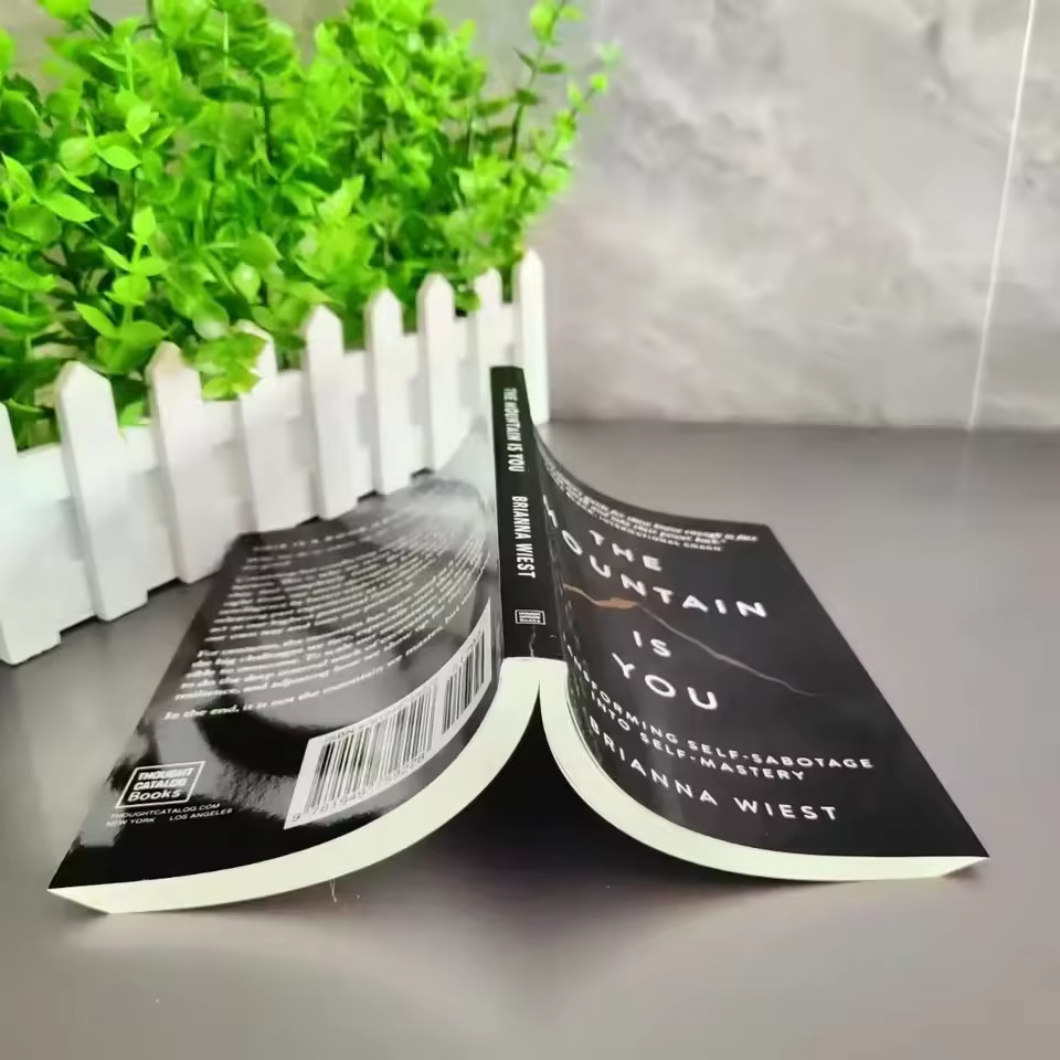 The Mountain is you by Brianna Wiest Paperback Book, Free Shipping US.