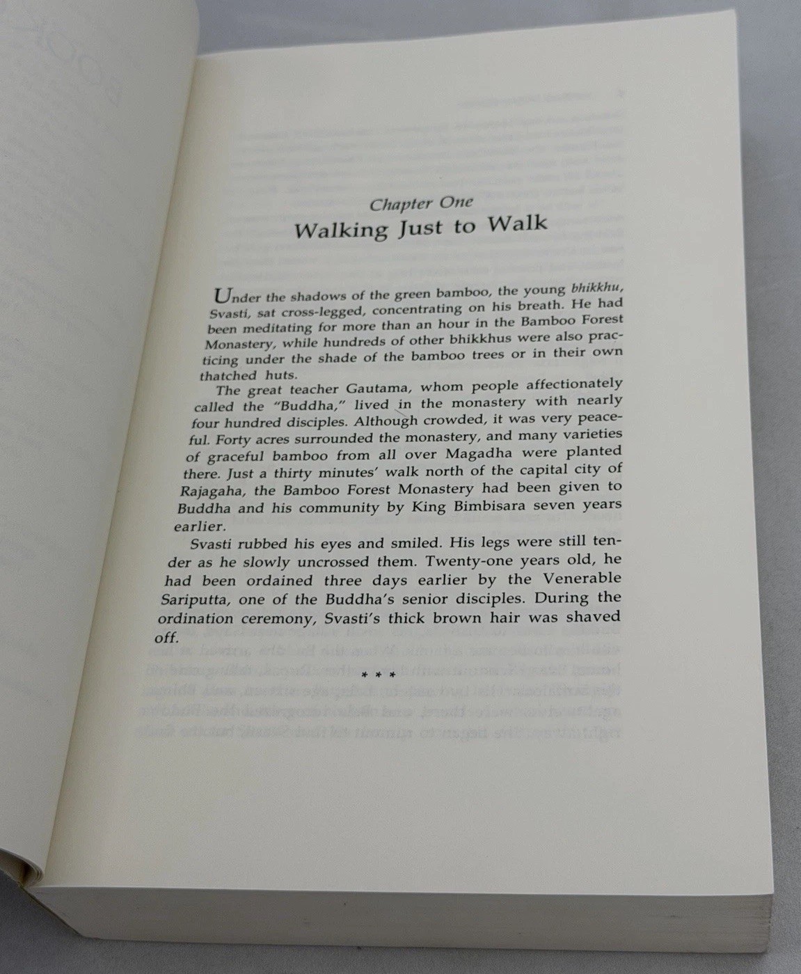 Old Path White Clouds : Walking in the Footsteps of the Buddha – PB