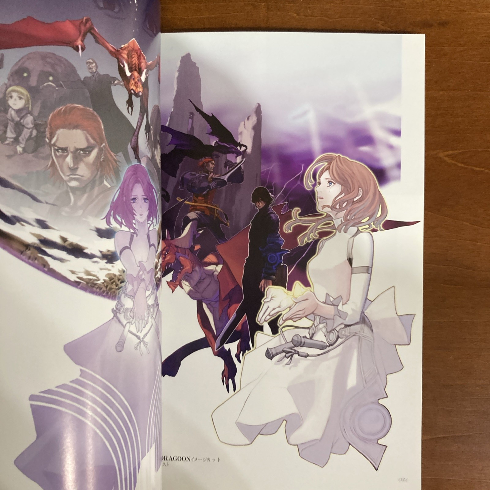 Drag-on Dragoon Art BookThe Materials Illustration