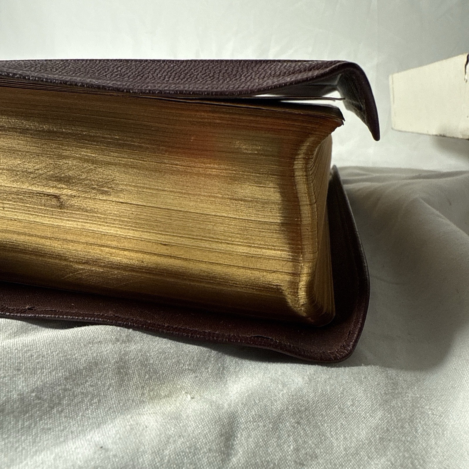 The Catholic Press Family Edition of the Holy Bible 1950s by John P O’Connell 3G