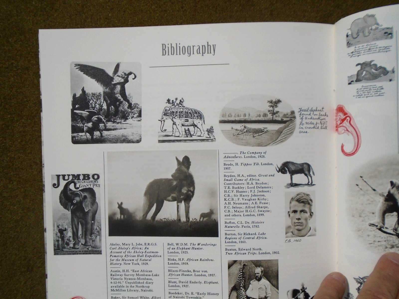 The End of the Game By Peter Beard Taschen 2008 Hardcover African Wildlife ~ VG+