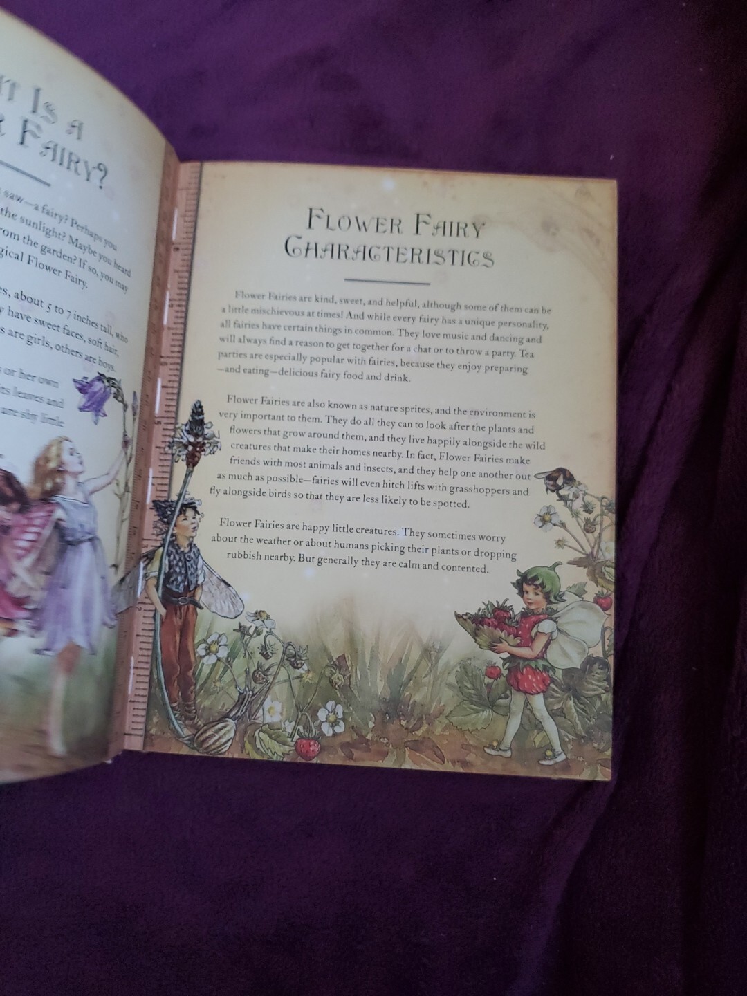 The Girls&rsquo; Book of Flower Fairies (HC, 2008) Frederick Warne (Crafts & Stories)