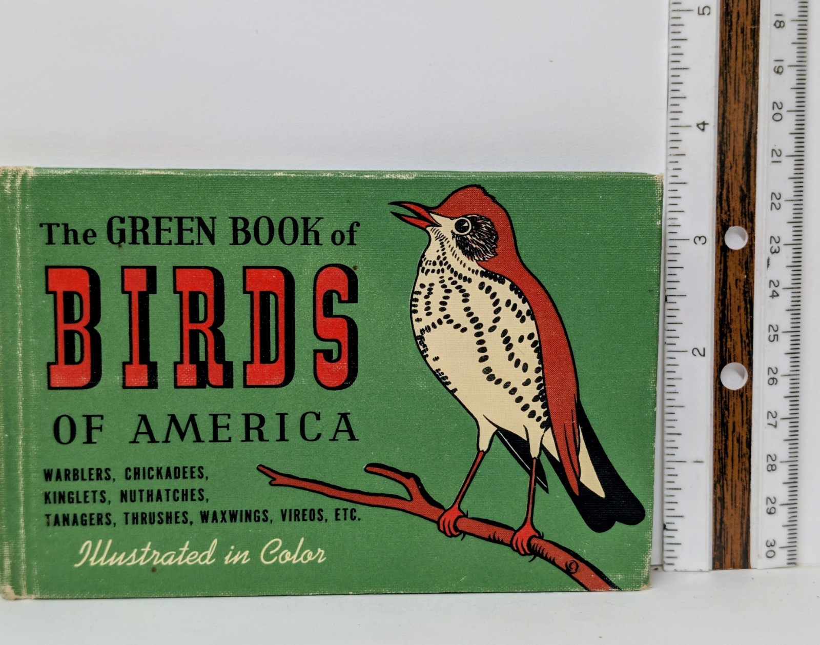 Vintage 1940s Birds of America Blue Green Red Book Set MCM Illustrated HB Set 3