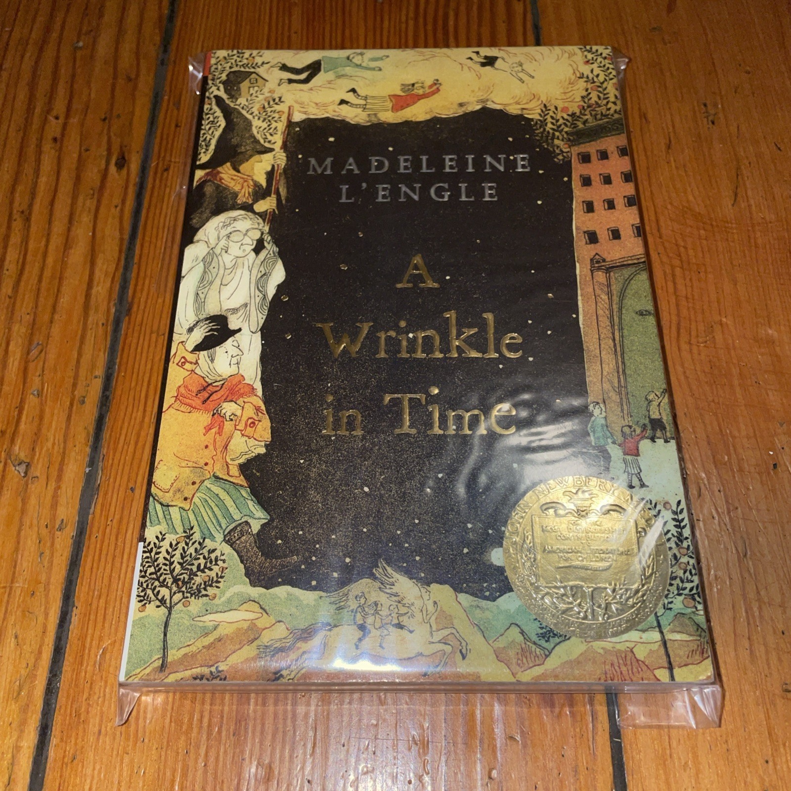 A Wrinkle In Time by Madaleine L&rsquo;Engle (2007 Square Fish Trade Paperback)