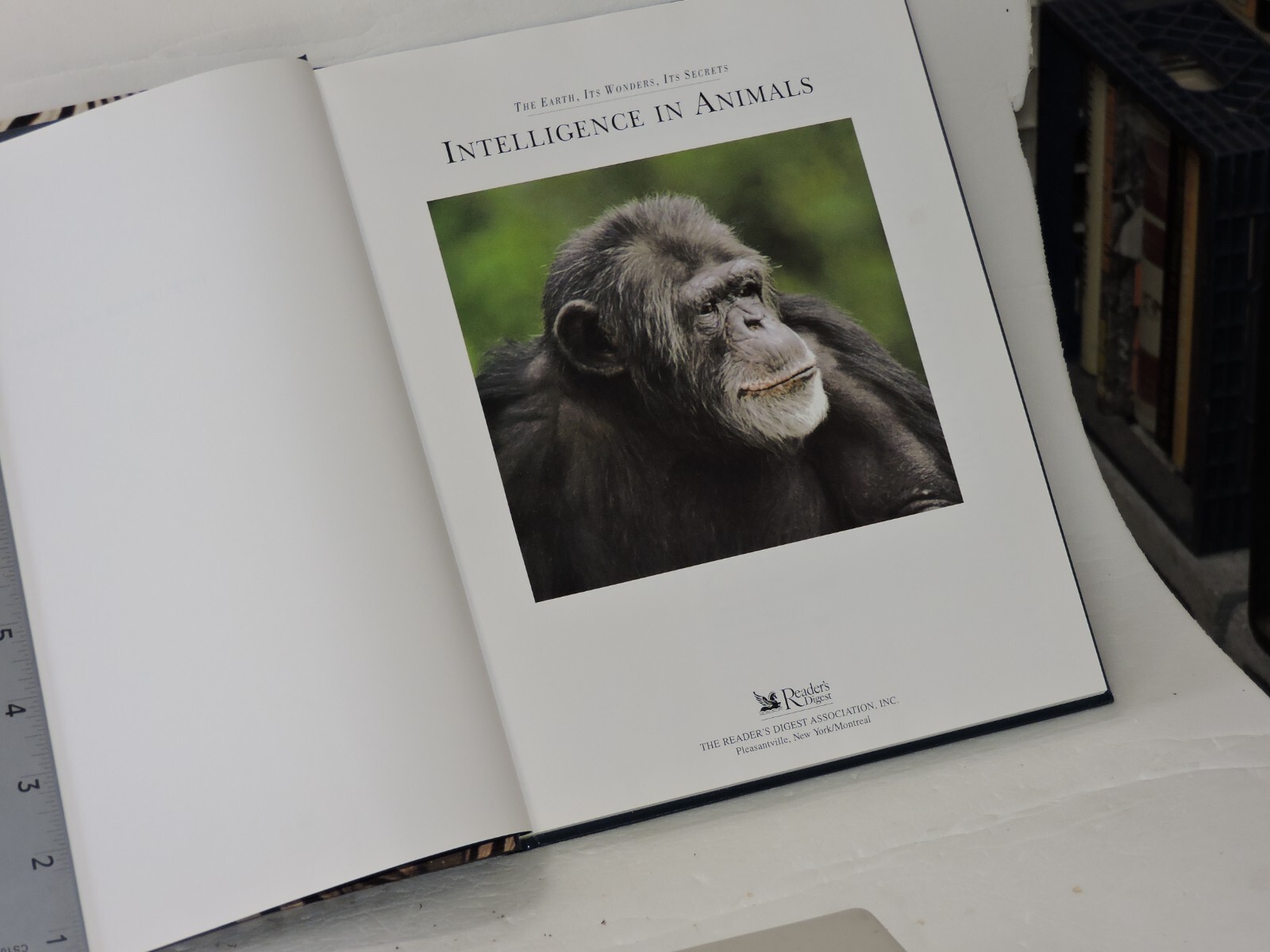 Secret Life of Animals by Reader&rsquo;s Digest Editors (1998, Hardcover)