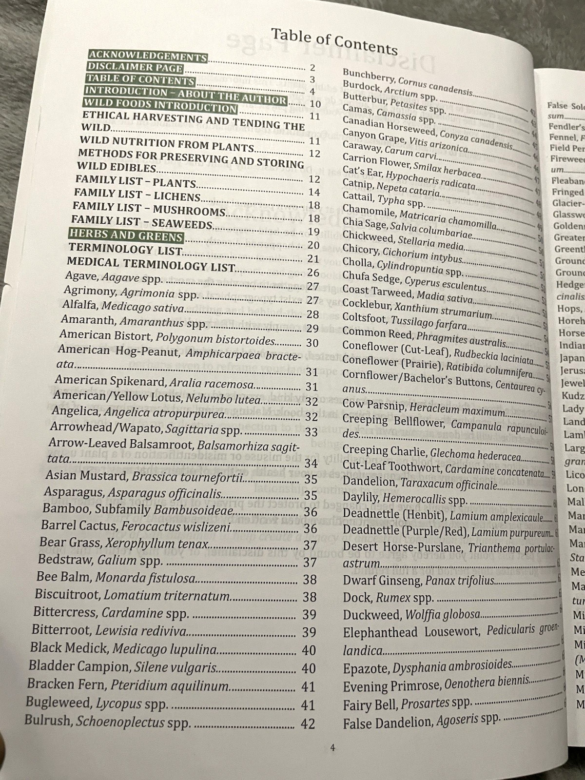 The Forager&rsquo;s Guide to Wild Foods North American Edition 2021 Nicole Apelian