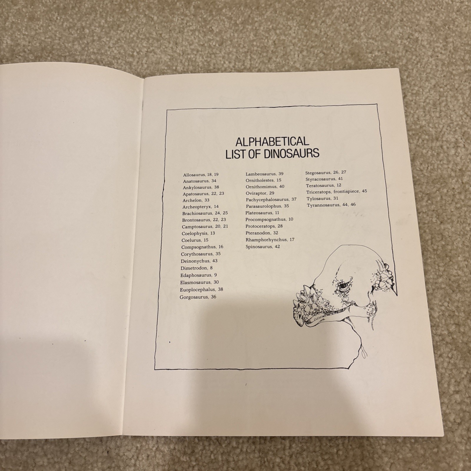 The Dinosaur Dover Coloring Book Paperback Anthony Rao Vintage 1980