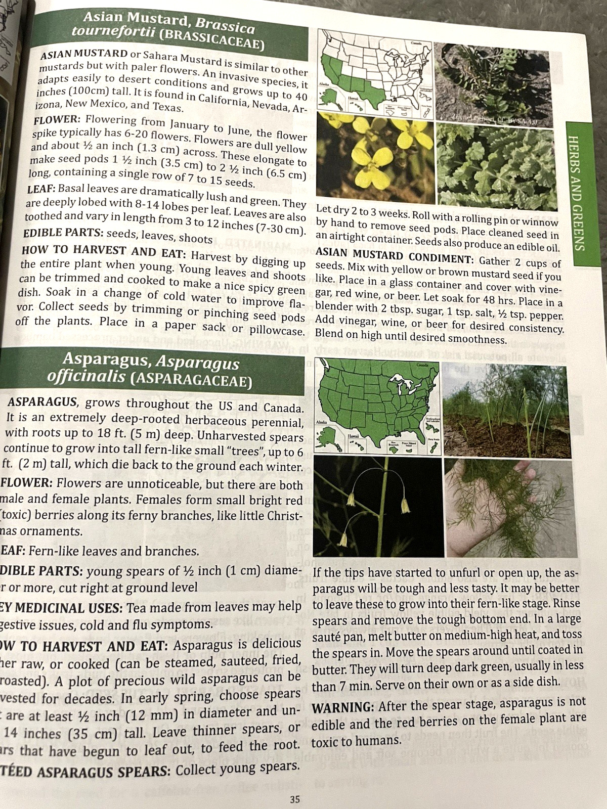 The Forager&rsquo;s Guide to Wild Foods North American Edition 2021 Nicole Apelian
