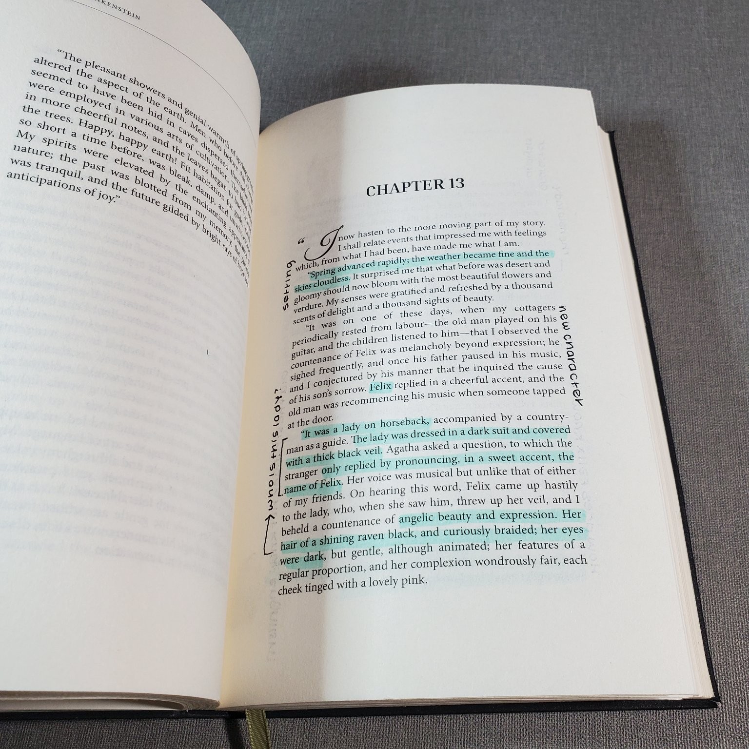 Frankenstein Mary Shelley 2018 Hardcover Paper Mill Press Classic Horror Novel