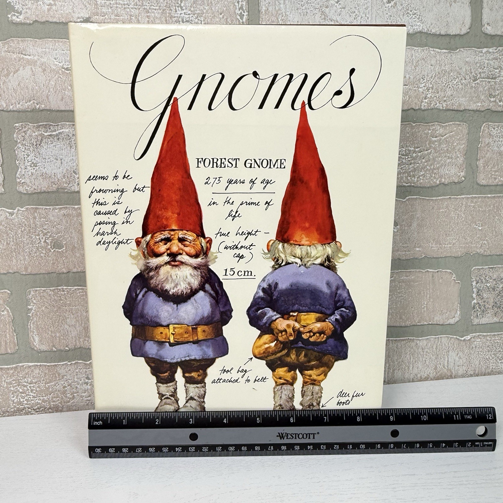 Gnomes Wil Huygen Rien Poortvliet 1977 Abrams Illustrated Fantasy Folklore HC DJ