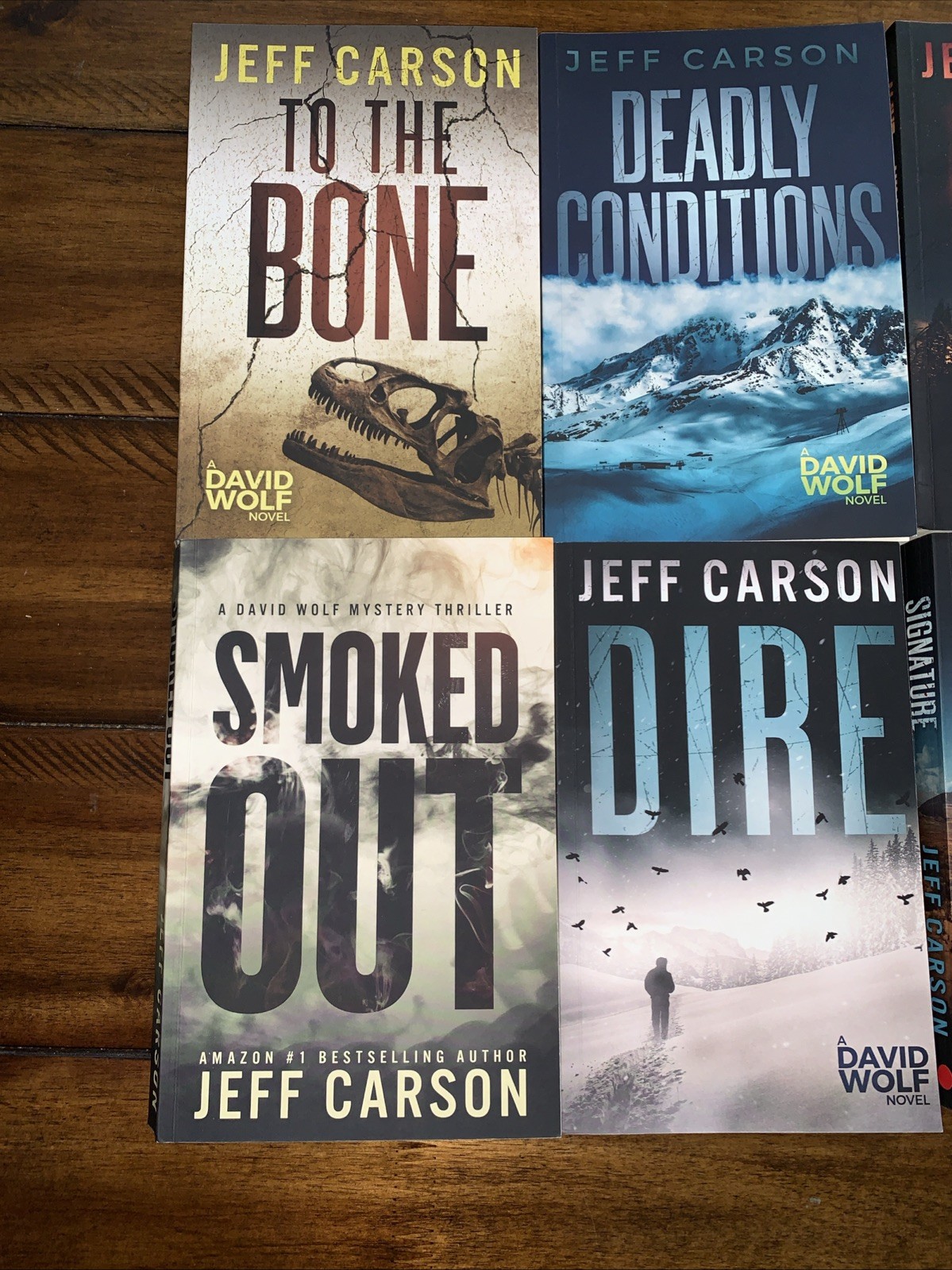 Lot of 7 David Wolf Mystery Jeff Carson Books
