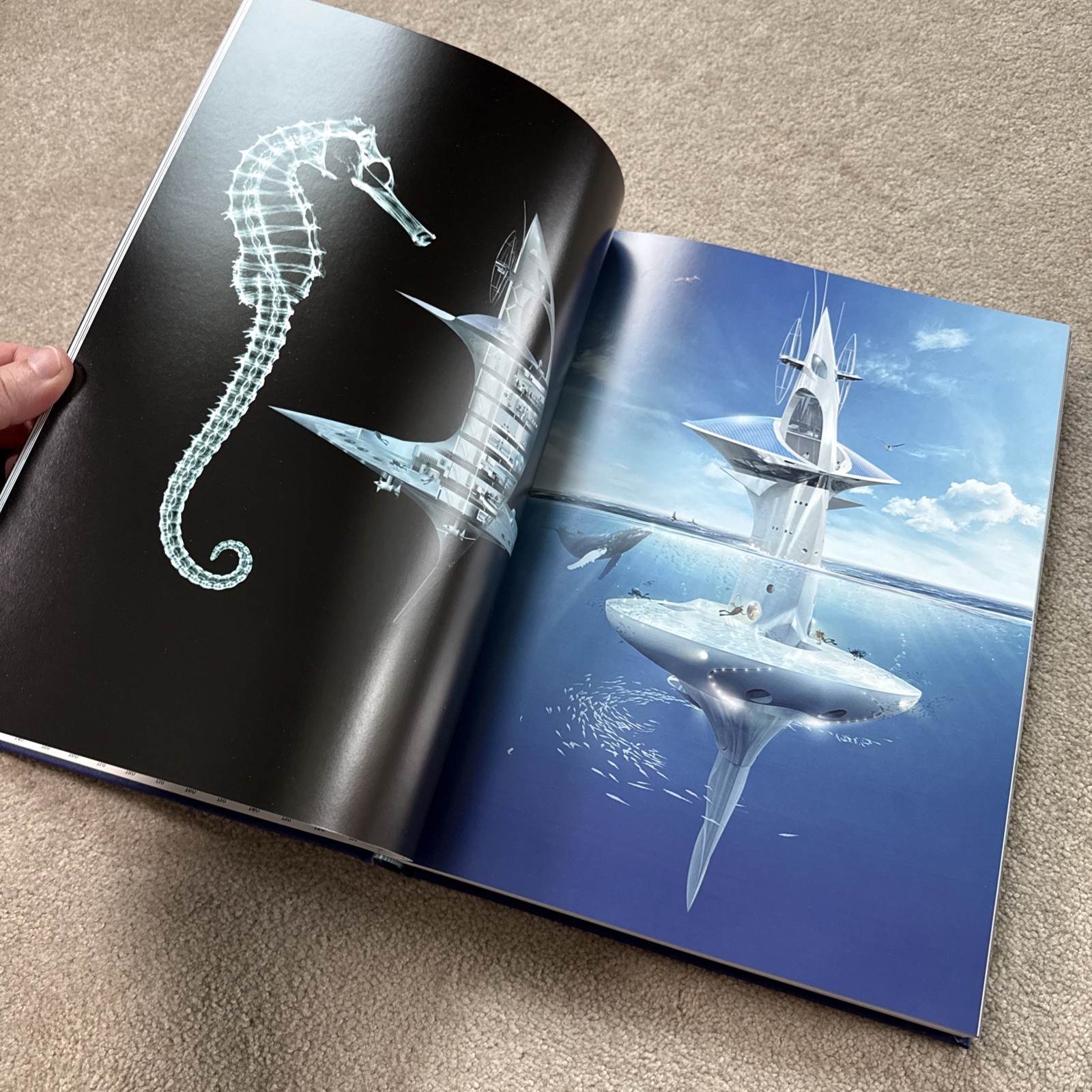 Ocean Wanderlust – Assouline Coffee Table Book by Kevin Koenig
