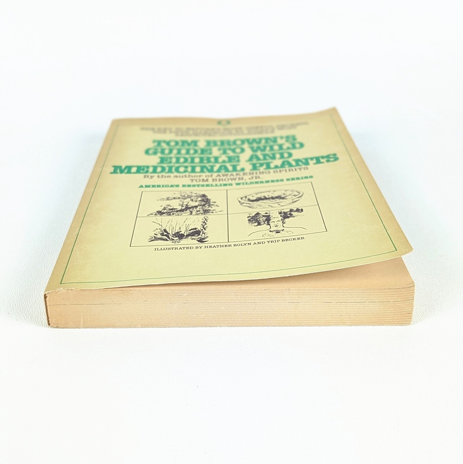 TOM BROWN&rsquo;S GUIDE TO WILD EDIBLE AND MEDICINAL PLANTS by Tom Brown Jr. – 1985 PB