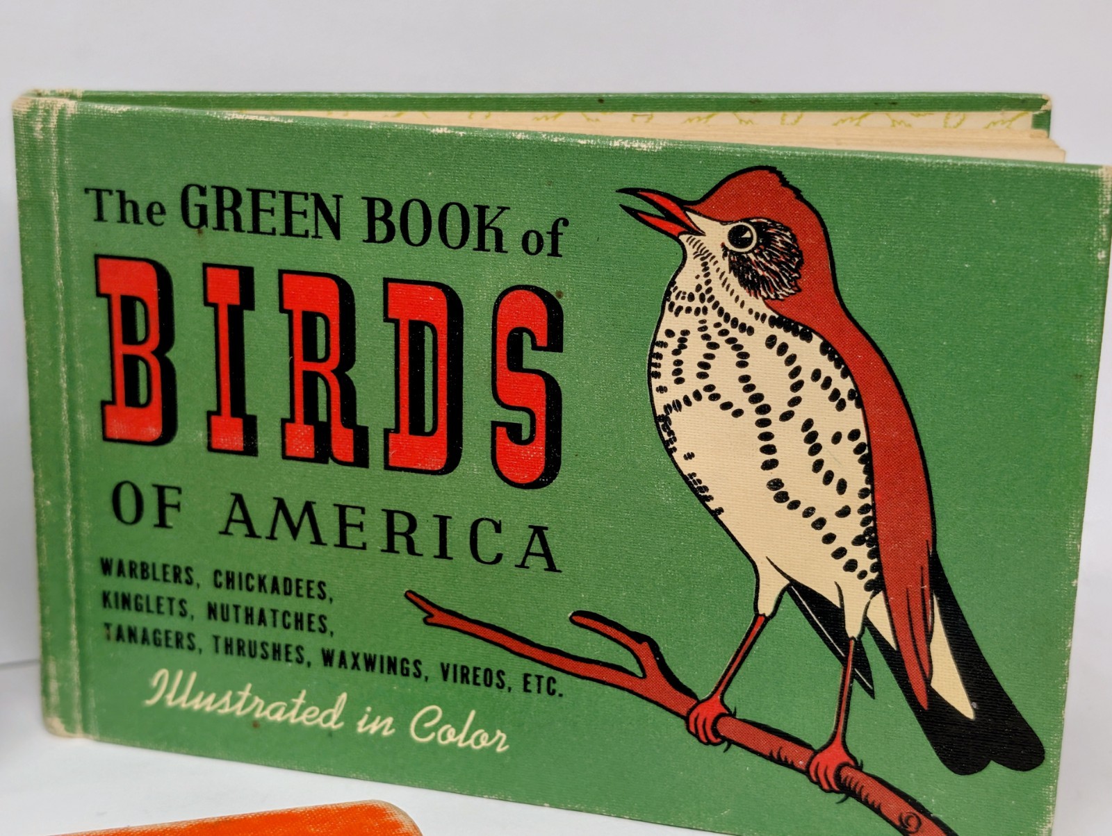 Vintage 1940s Birds of America Blue Green Red Book Set MCM Illustrated HB Set 3