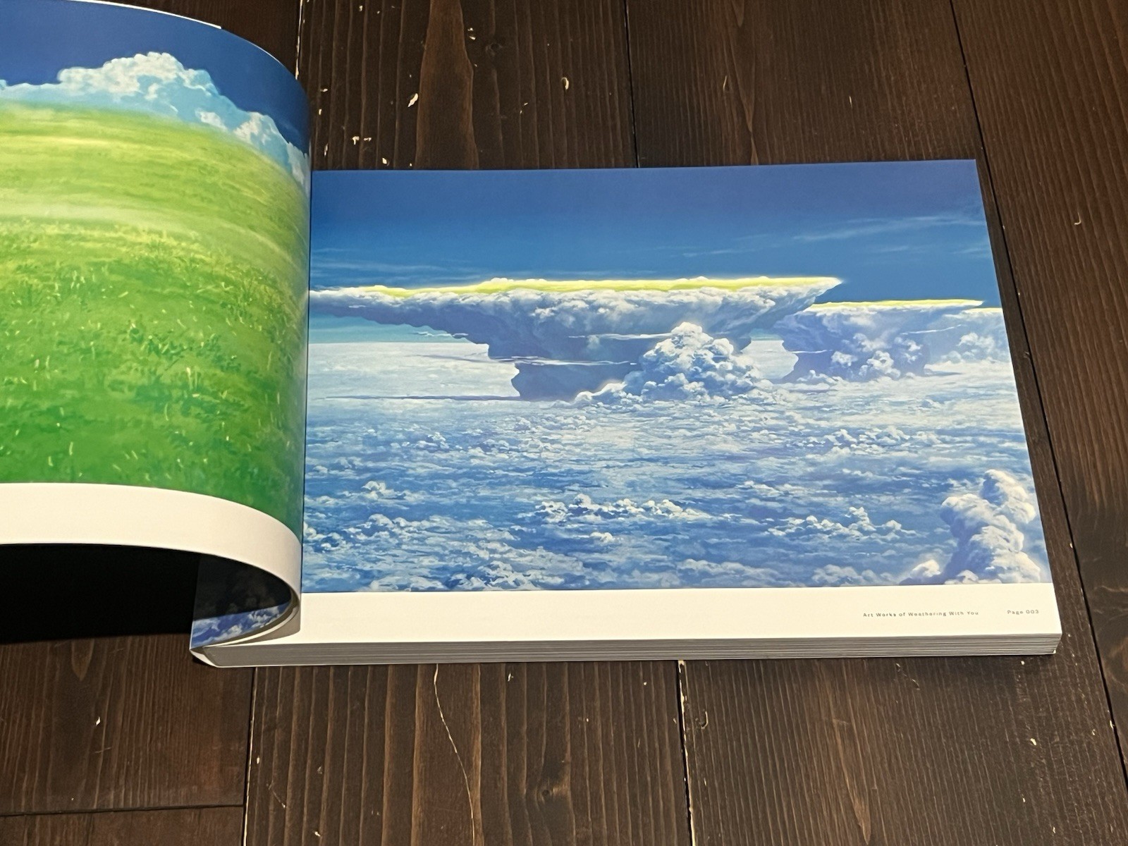 2020 1ST EDITION MAKOTO SHINKAI Weathering With You ART BOOK JAPANESE USED BOOK