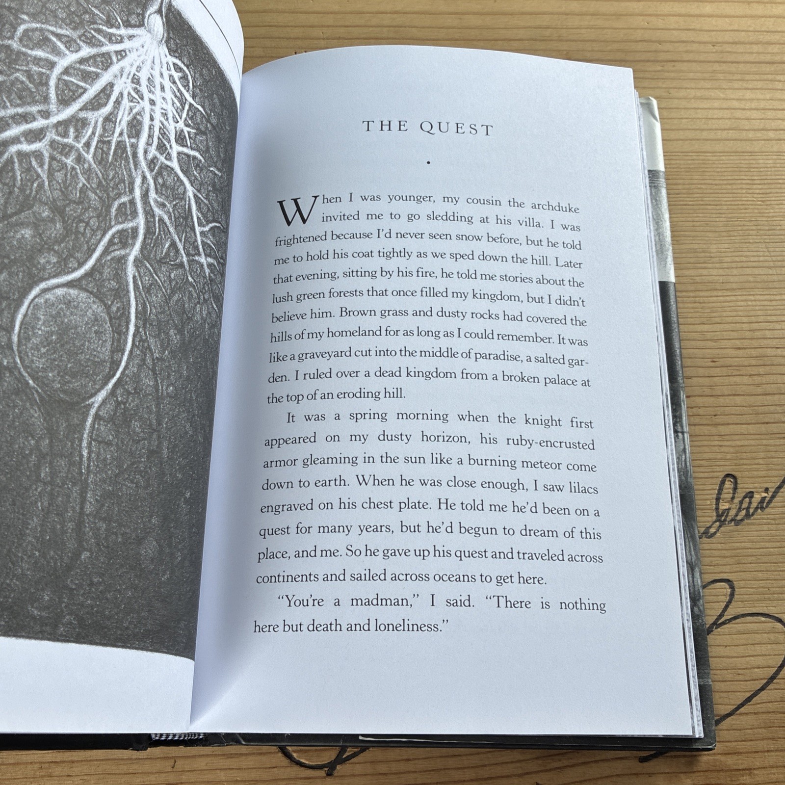 Signed Book Kaleidoscope Brian Selznick Juvenile Fiction YA Children Novel Books