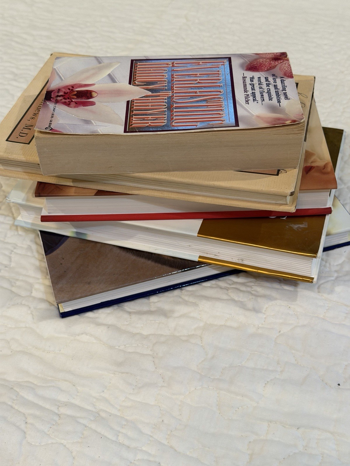 Fiction Book Lot 5 Anita Shreve Jewel Ashley Warlick Mixed Novels