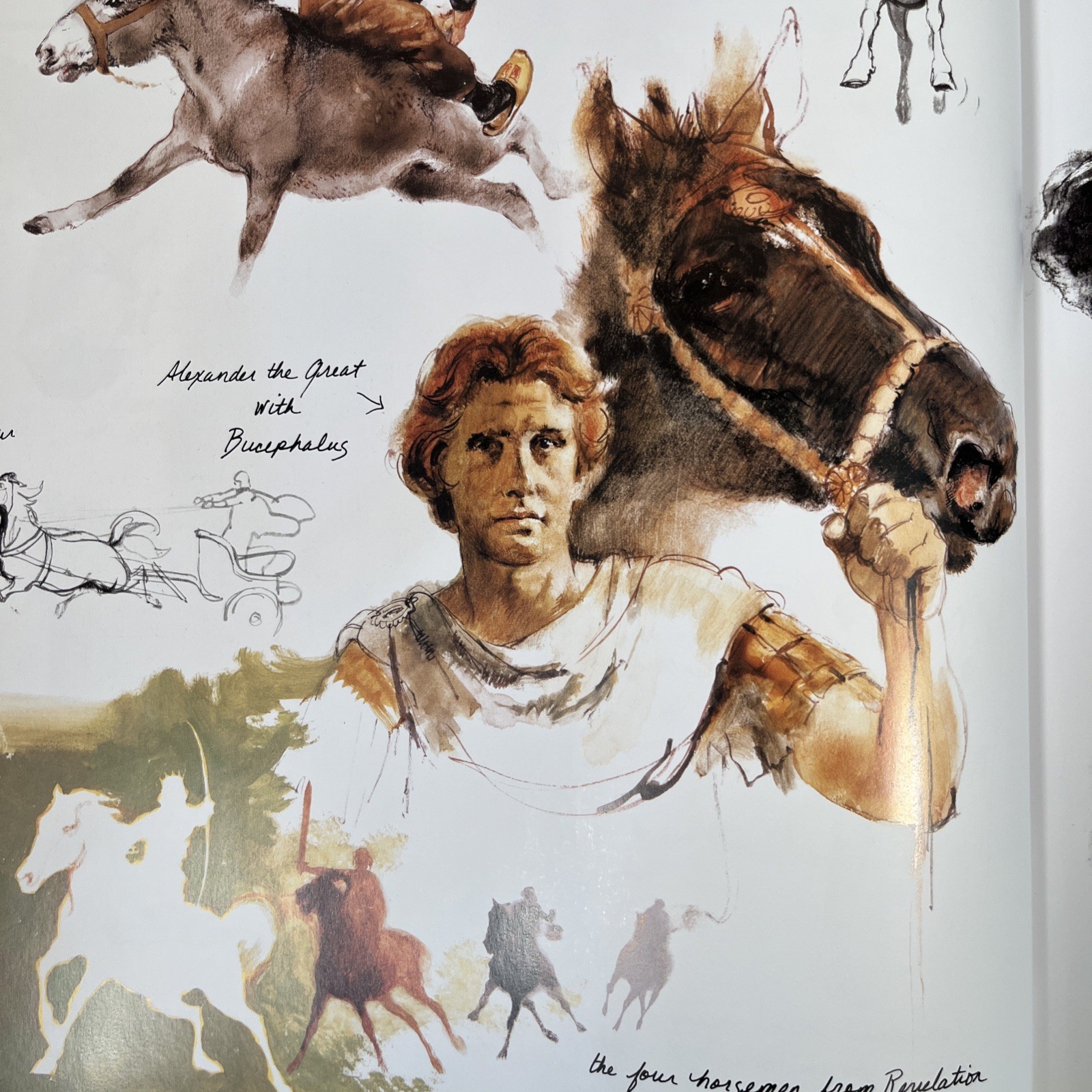 Rien Poortvliet&rsquo;s Horses Book First Edition 1978 Hardcover with DJ Very Good